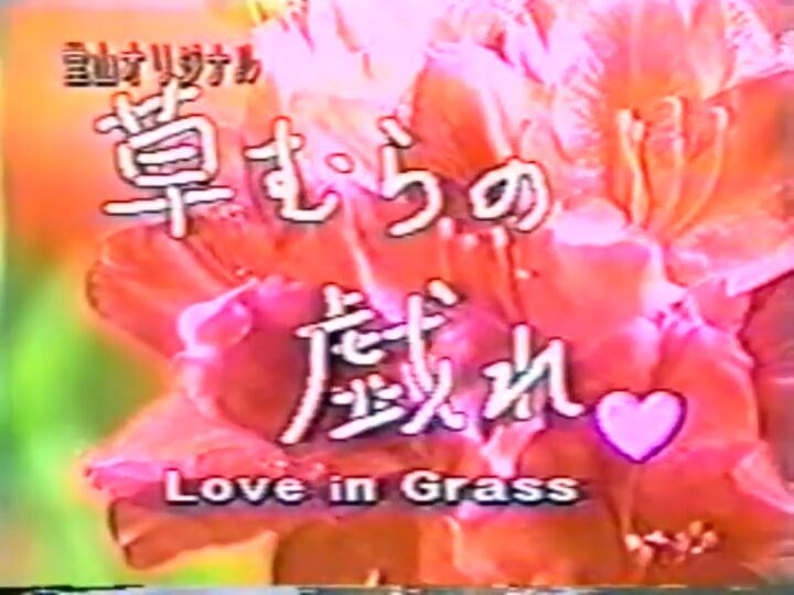 草むらの戯れ♡ ~Love in Grass~ 复古怀旧-第1张