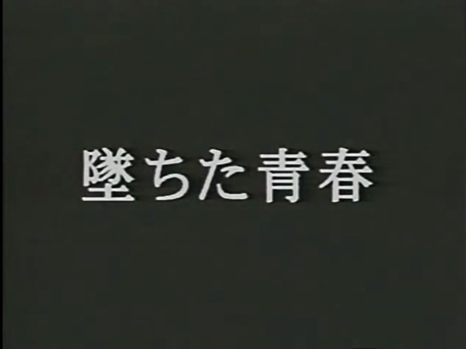 堕ちた青春 虐待捆绑-第1张